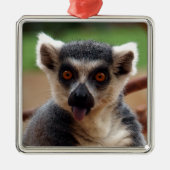 Lemur Silbernes Ornament (Vorne)