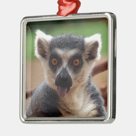 Lemur Silbernes Ornament (Links)