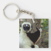 Lemur umarmt einen Baum Schlüsselanhänger (Vorderseite)