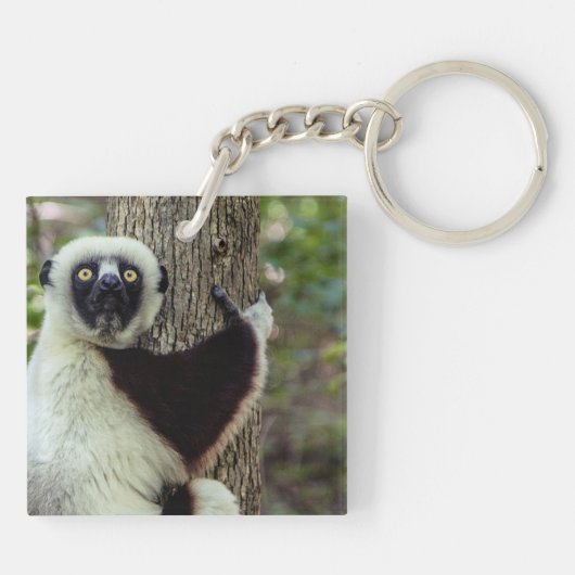 Lemur umarmt einen Baum Schlüsselanhänger (Rückseite)