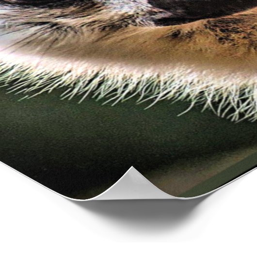 Lemur und Pup Poster (Ecke)