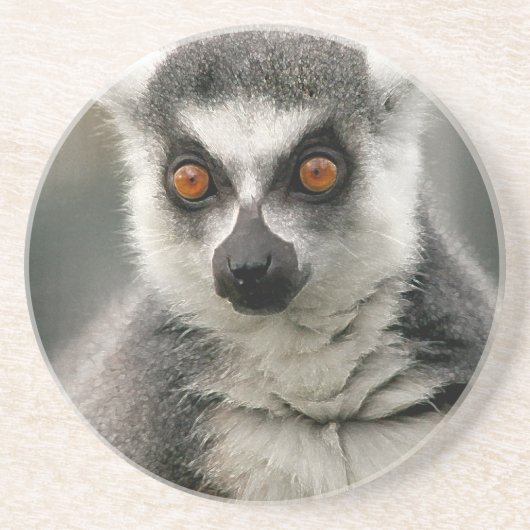 Lemur Untersetzer (Vorne)