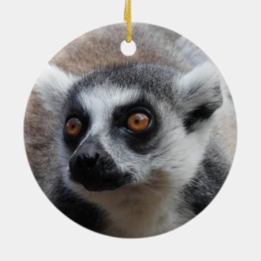 Lemur-Verzierung Keramik Ornament (Hinten)