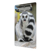 Lemur voller Persönlichkeit Mini Klemmbrett (Gewinkelt2)