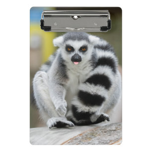 Lemur voller Persönlichkeit Mini Klemmbrett