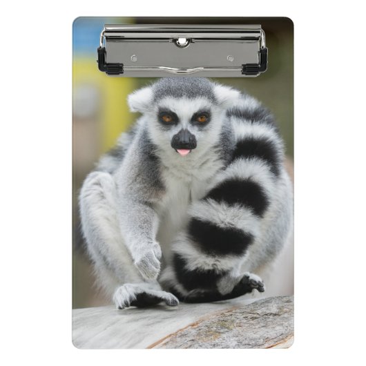Lemur voller Persönlichkeit Mini Klemmbrett (Vorderseite)