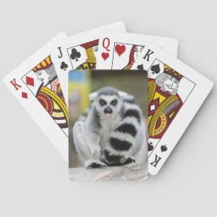 Lemur voller Persönlichkeit Spielkarten