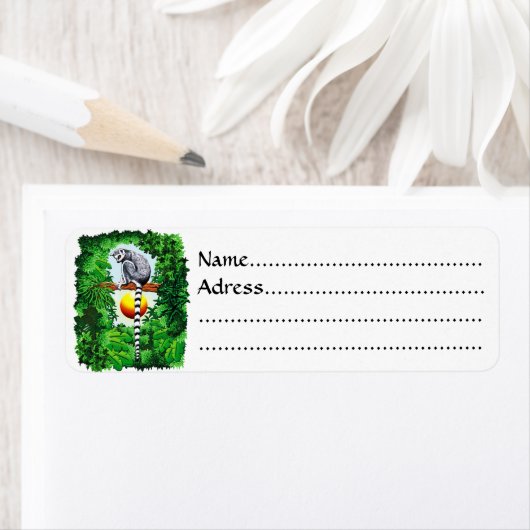 Lemur von Madagaskar (Insitu)