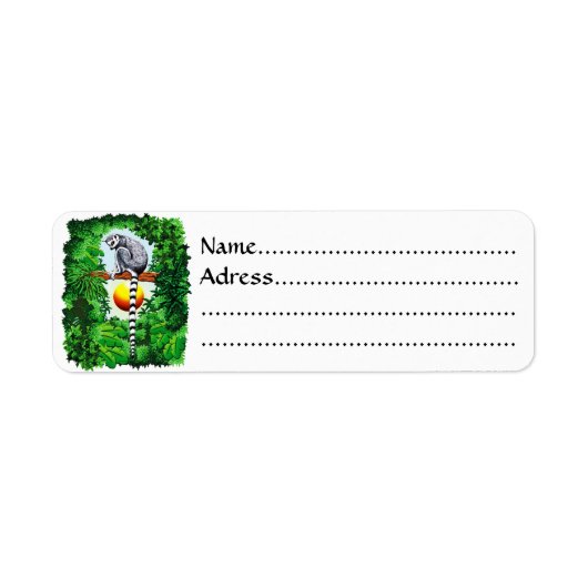 Lemur von Madagaskar (Vorne)