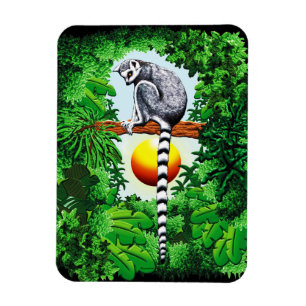Lemur von Madagaskar Magnet