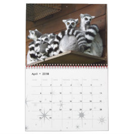 Lemur Wild Primat Welcome Zuhause Destiny Destiny' Kalender