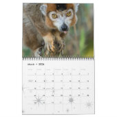 Lemur Wild Primat Welcome Zuhause Destiny Destiny' Kalender (Mär 2026)