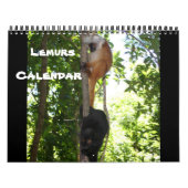 Lemur Wild Primat Welcome Zuhause Destiny Destiny' Kalender (Titelbild)