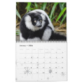 Lemur Wild Primat Welcome Zuhause Destiny Destiny' Kalender (Jan 2026)
