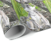 Lemur Wrapping Paper singen Geschenkpapier (Rolleneckpunkt)