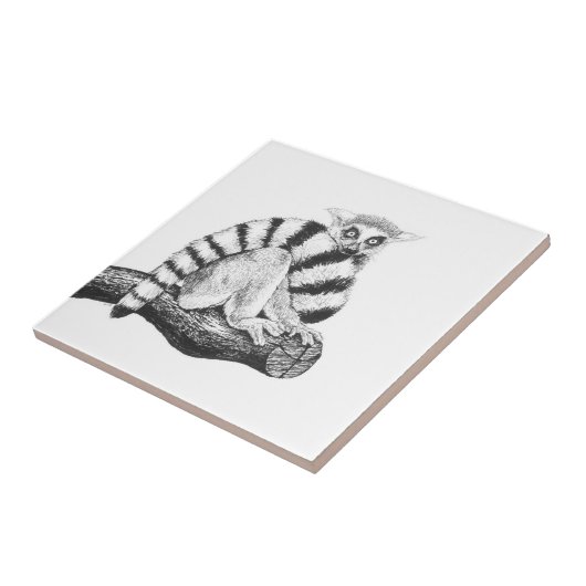 Lemur zeichnend fliese (Seite)