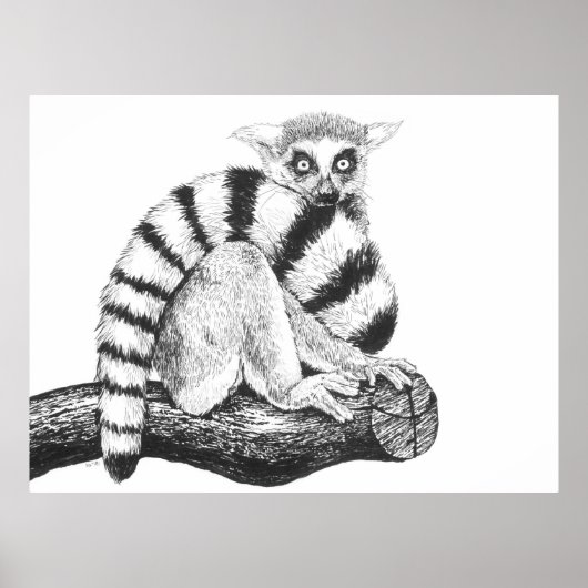 Lemur zeichnend poster (Vorne)