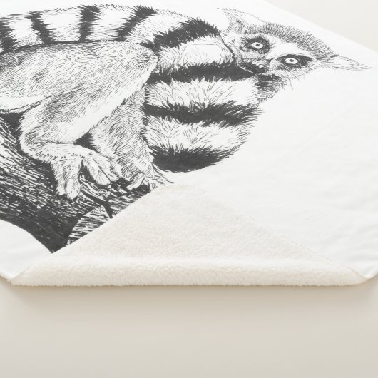 Lemur zeichnend sherpadecke (3/4)