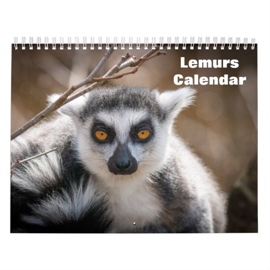 Lemuren 2025 kalender (Titelbild)