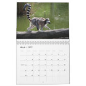 Lemuren 2025 kalender (Mär 2027)