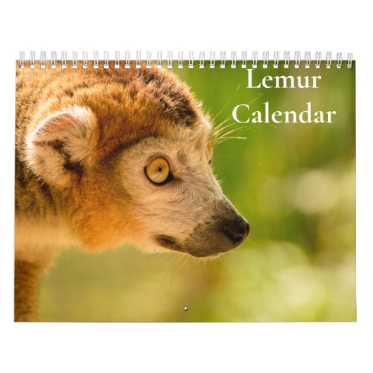Lemuren-Kalender 2027 Kalender (Titelbild)
