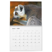 Lemuren-Kalender 2027 Kalender (Mär 2027)