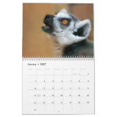 Lemuren-Kalender 2027 Kalender (Jan 2027)