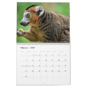 Lemuren-Kalender 2027 Kalender (Feb 2027)
