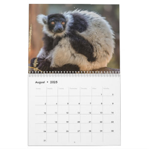 Lemuren-Kalender 2027 Kalender
