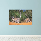 Lemuren (Lemur Catta), Berenty Leinwanddruck (Insitu (Holzboden))