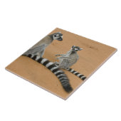 Lemuren, Ringelschwanz, Berenty Fliese (Seite)