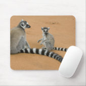 Lemuren, Ringelschwanz, Berenty Mousepad (Mit Mouse)