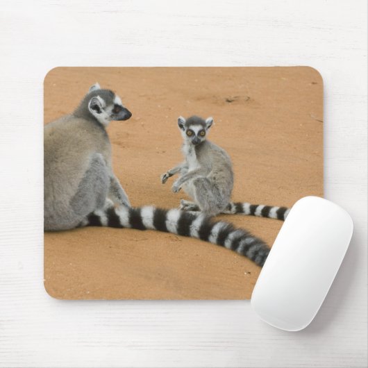 Lemuren, Ringelschwanz, Berenty Mousepad (Mit Mouse)