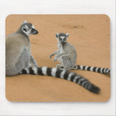 Lemuren, Ringelschwanz, Berenty Mousepad (Vorne)