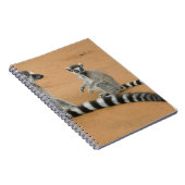 Lemuren, Ringelschwanz, Berenty Notizblock (Rechte Seite)