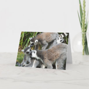 Lemurs Card Karte