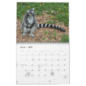 LEMURS KALENDER (Mär 2027)