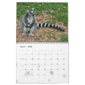 LEMURS KALENDER (Mär 2026)