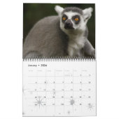 LEMURS KALENDER (Jan 2026)
