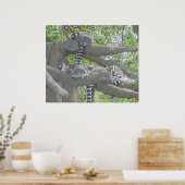 Lemurs Poster (Küche)