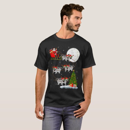 Lemurs Santa Sleigh Flying Funny Magical Christmas T-Shirt (Vorne ganz)