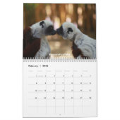 Lemurs von Madagaskar-Kalender Kalender (Feb 2026)
