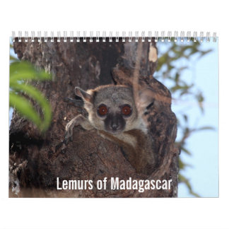 Lemurs von Madagaskar-Kalender Kalender