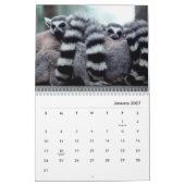 Lemurs Wall Calendar Kalender (Jan 2027)