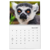Lemurs Wall Calendar Kalender (Mär 2027)