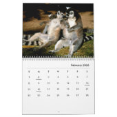 Lemurs Wall Calendar Kalender (Feb 2026)