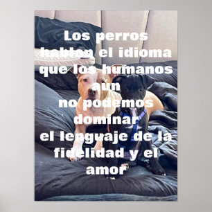 Lenguaje-Tier Poster