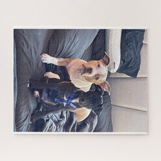 Lenguaje-Tier Puzzle (Horizontal)