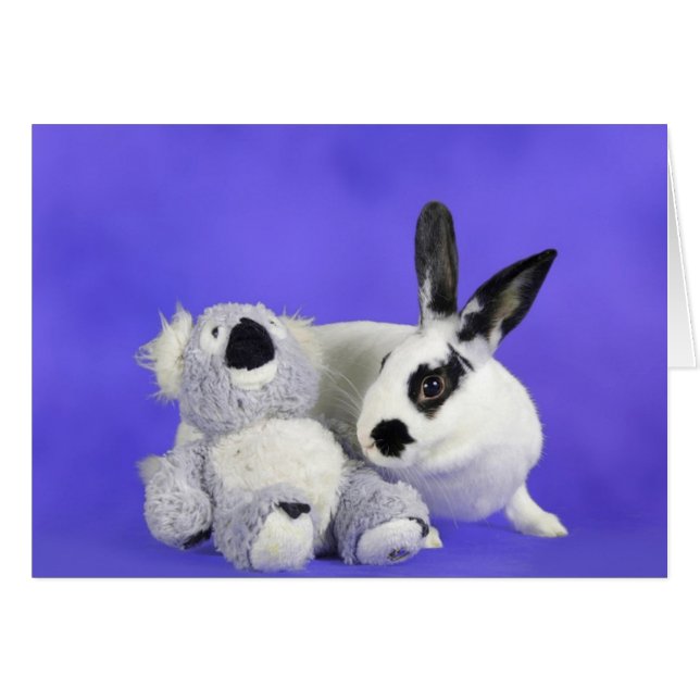 Lenox (Vorderseite (Horizontal))