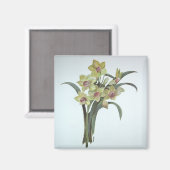 Lent Lily Magnet (Vorderseite/Rückseite)